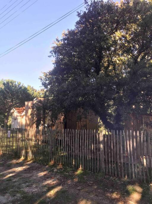 Ma Cabane Sous Les Arbres Soulac-sur-Mer Bagian luar foto