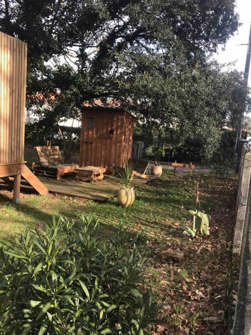 Ma Cabane Sous Les Arbres Soulac-sur-Mer Bagian luar foto