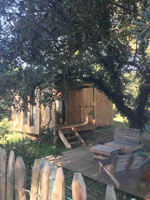 Ma Cabane Sous Les Arbres Soulac-sur-Mer Bagian luar foto