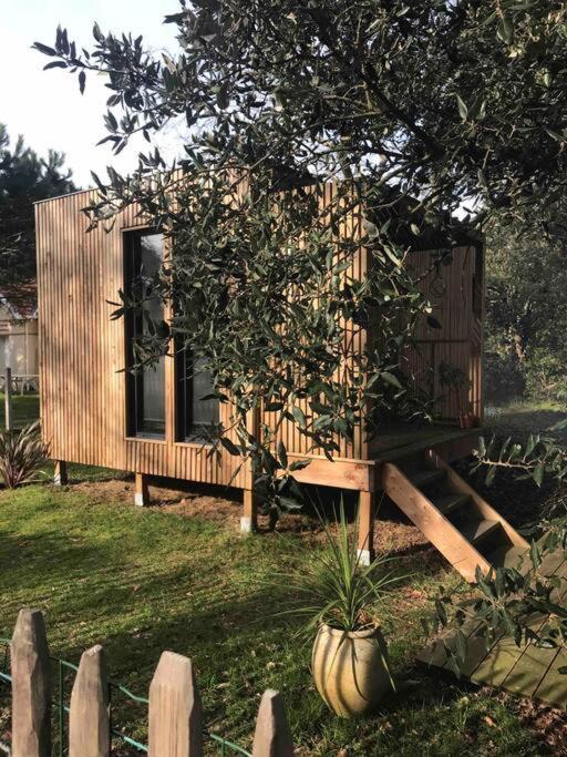 Ma Cabane Sous Les Arbres Soulac-sur-Mer Bagian luar foto