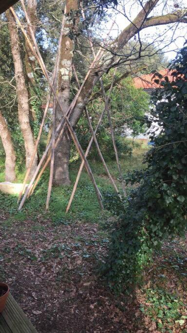 Ma Cabane Sous Les Arbres Soulac-sur-Mer Bagian luar foto