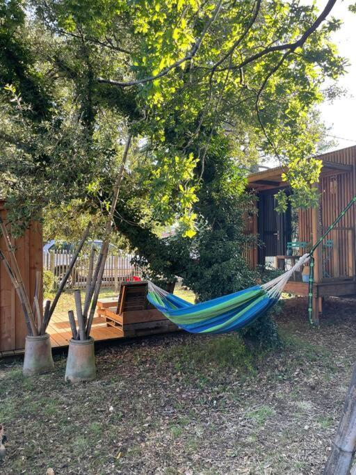 Ma Cabane Sous Les Arbres Soulac-sur-Mer Bagian luar foto